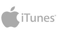 itunes Icon